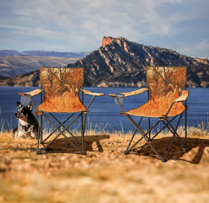 2 Pack Folding Camping Chairs with Portable Design for Outdoor Travel Beach Fishing